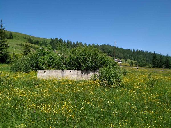 земля продам село Микуличин, фото 7 з 10